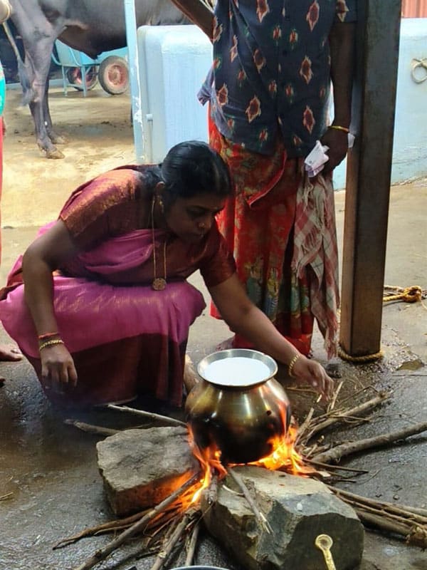 pongal-celebration-img-1