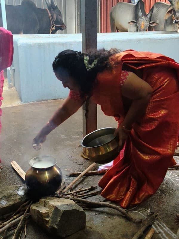 pongal-celebration-img-3