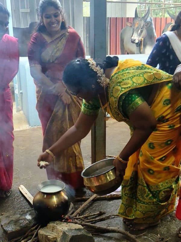pongal-celebration-img-6