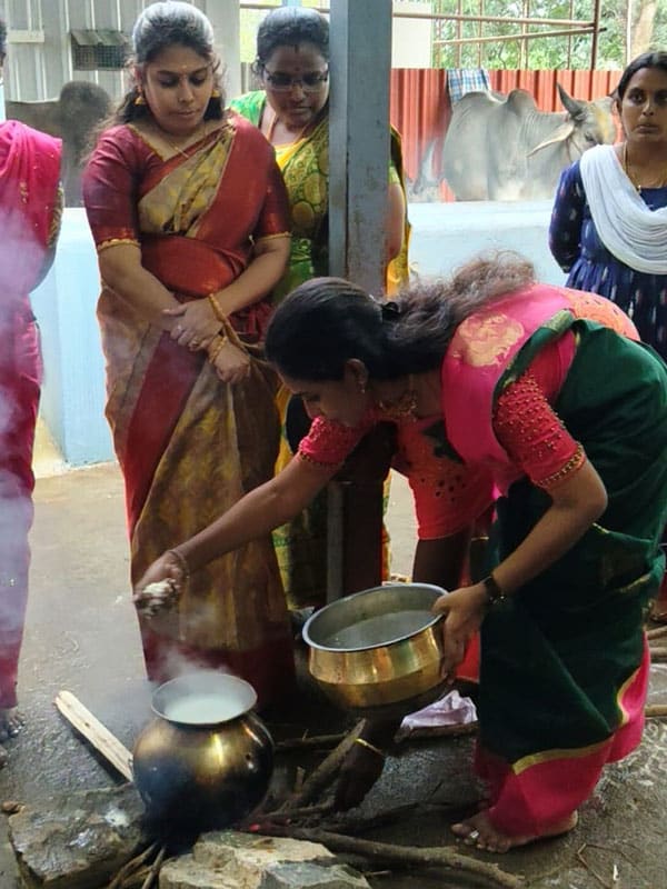 pongal-celebration-img-8